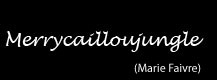 Merrycailloujungle / Marie Faivre